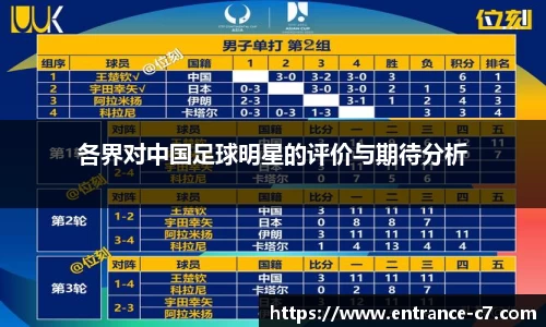 各界对中国足球明星的评价与期待分析